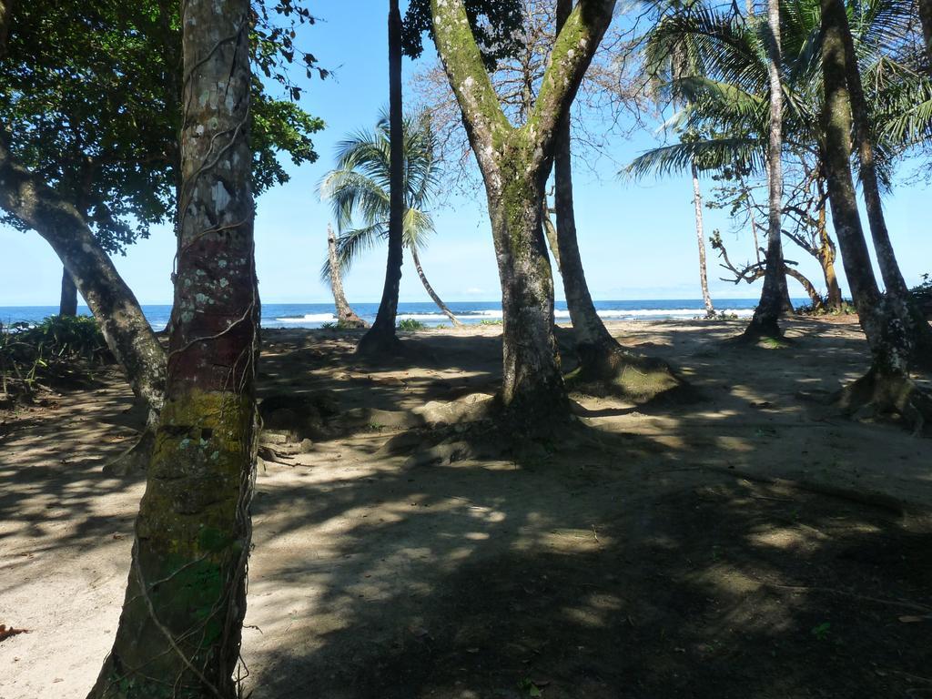 Yucca Beachfront Hotel Puerto Viejo de Talamanca Екстериор снимка