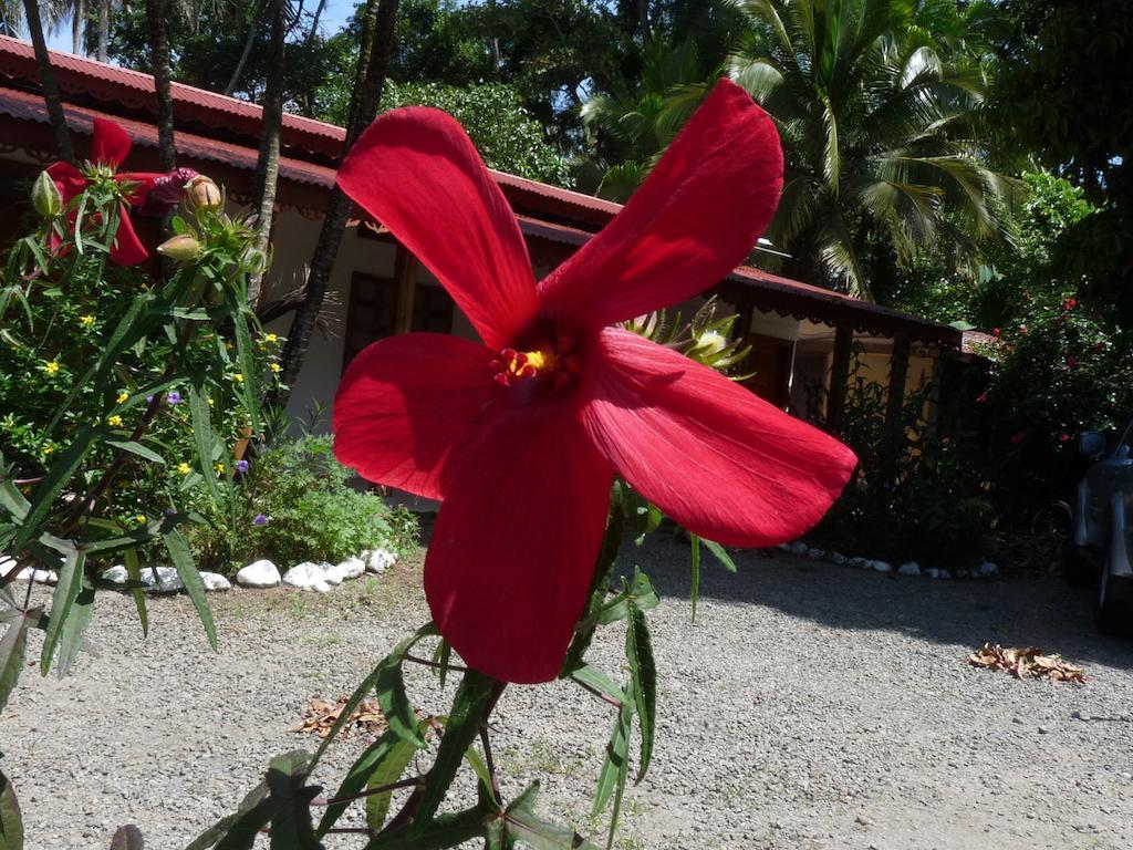 Yucca Beachfront Hotel Puerto Viejo de Talamanca Екстериор снимка
