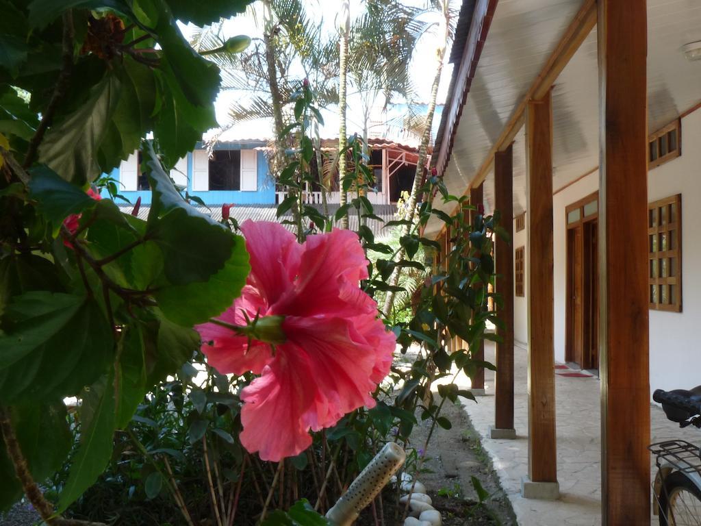 Yucca Beachfront Hotel Puerto Viejo de Talamanca Екстериор снимка