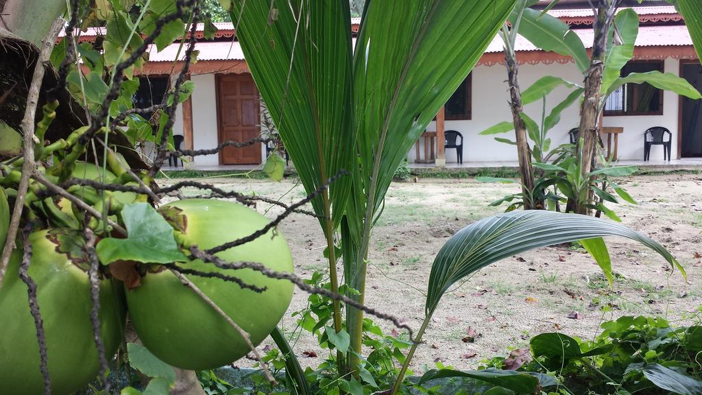 Yucca Beachfront Hotel Puerto Viejo de Talamanca Екстериор снимка