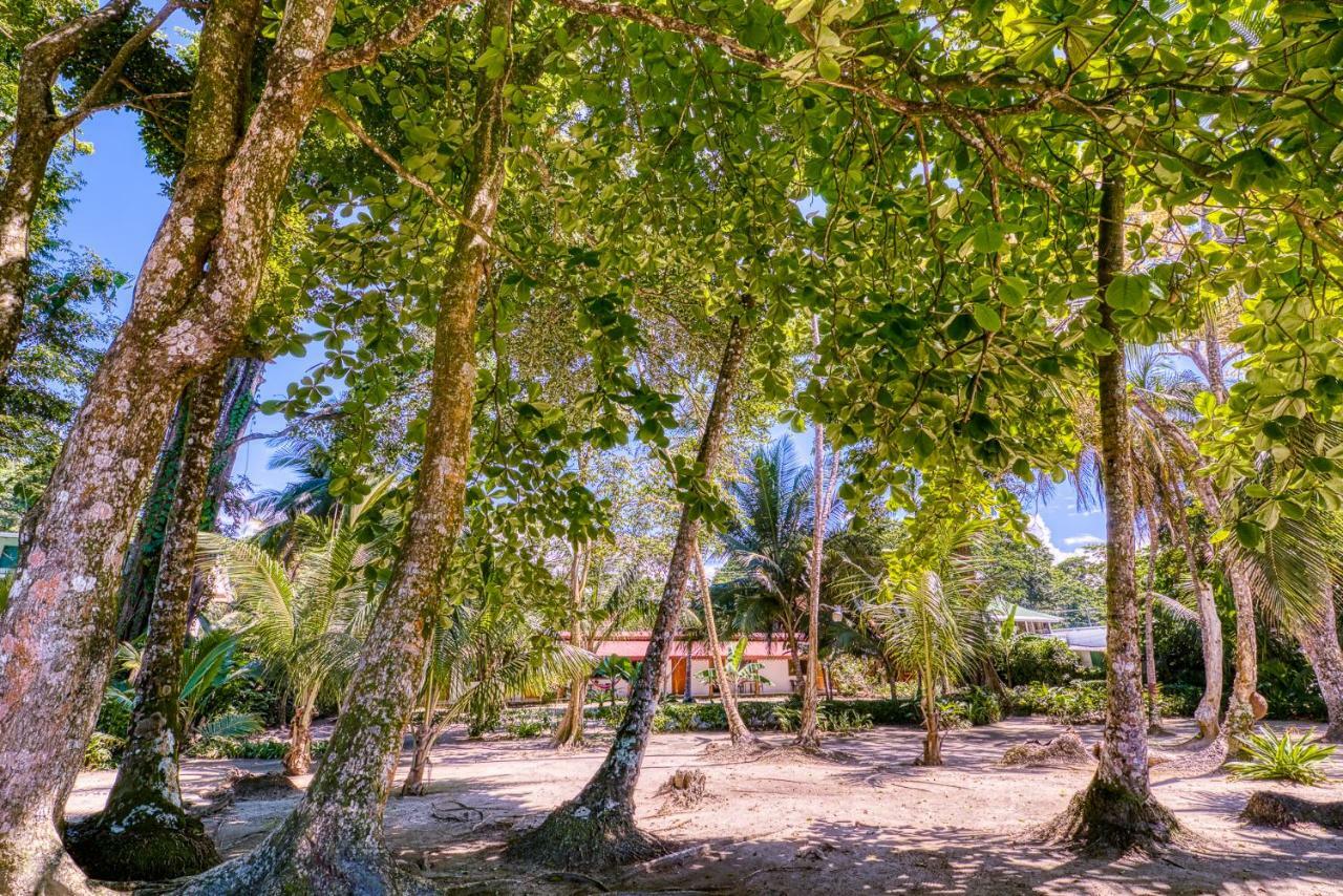 Yucca Beachfront Hotel Puerto Viejo de Talamanca Екстериор снимка