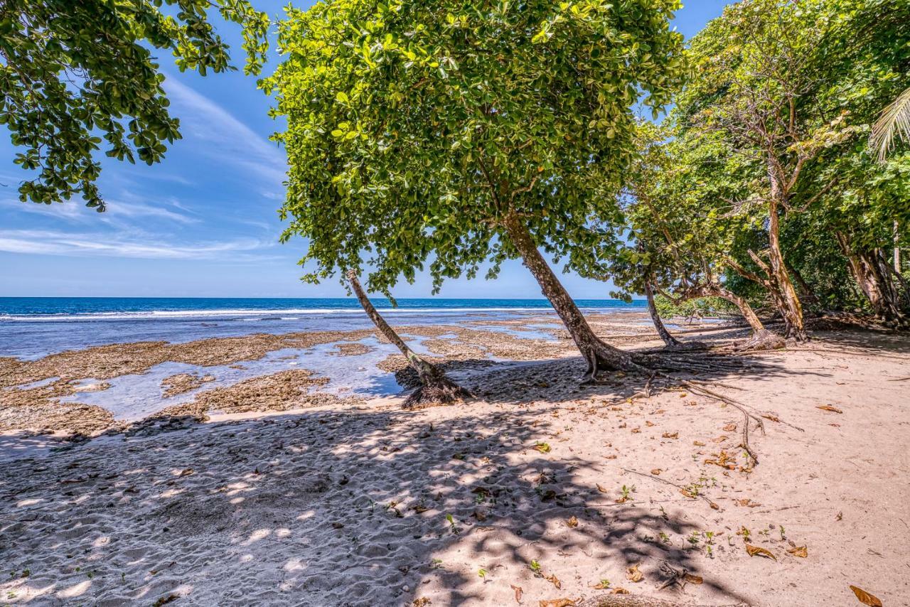 Yucca Beachfront Hotel Puerto Viejo de Talamanca Екстериор снимка