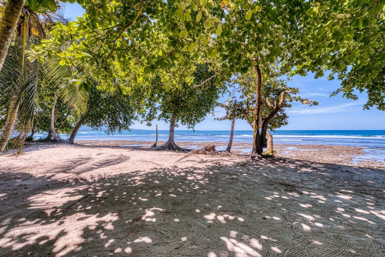 Yucca Beachfront Hotel Puerto Viejo de Talamanca Екстериор снимка